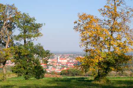 Proč není Lichtenštejnsko na Moravě a Vaduz ve Valticích?