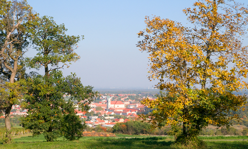 Proč není Lichtenštejnsko na Moravě a Vaduz ve Valticích? Proč není Lichtenštejnsko na Moravě a Vaduz ve Valticích?