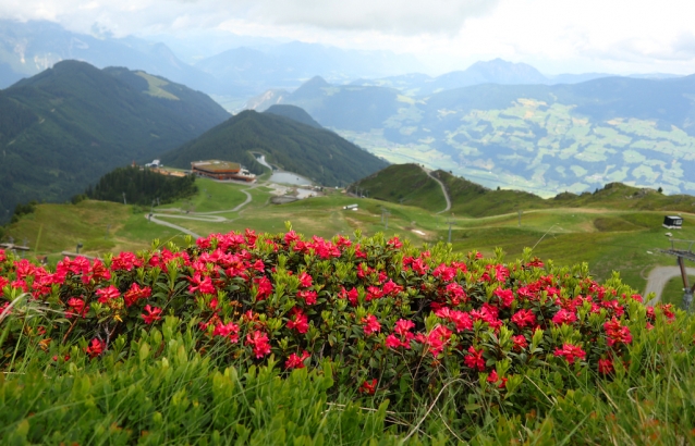 Horské hřiště Spieljoch v alpském údolí Zillertal