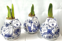 Vánoce nejsou jen o Hvězdě: 5 květinových trendů, které letos ovládnou české stoly