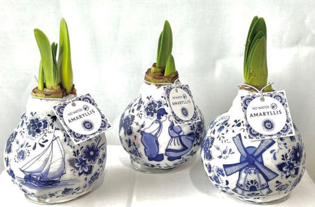 Vánoce nejsou jen o Hvězdě: 5 květinových trendů, které letos ovládnou české stoly