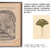 Ginkgo biloba, zázračný strom Ginkgo biloba, zázračný strom