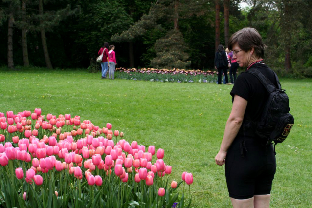 V Průhonicích kvetou tulipány a rododendrony