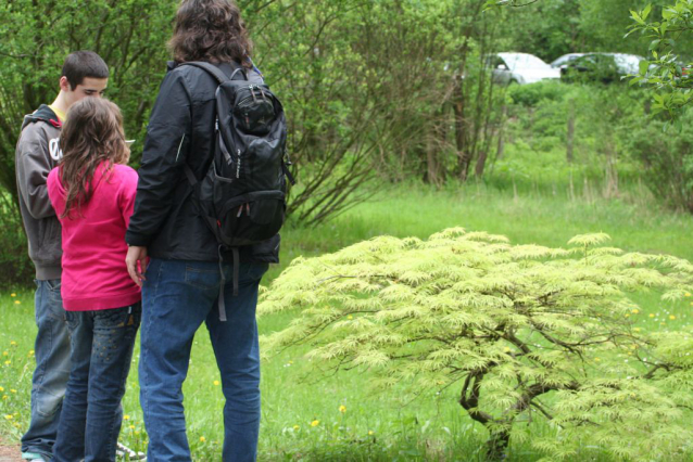 V Průhonicích kvetou tulipány a rododendrony