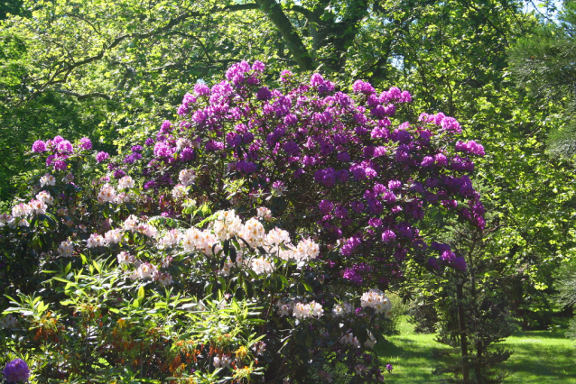 Botanická zahrada Malešice se rozkládá v údolí dutých hlav