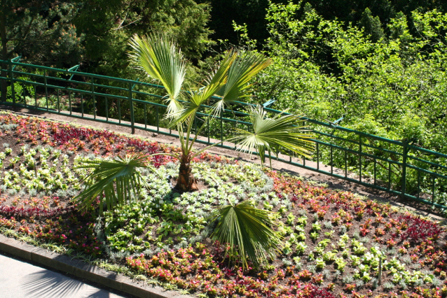 Botanická zahrada Malešice se rozkládá v údolí dutých hlav