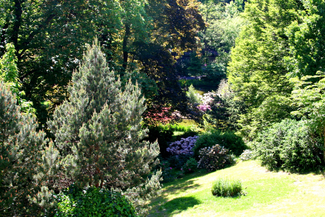 Botanická zahrada Malešice se rozkládá v údolí dutých hlav