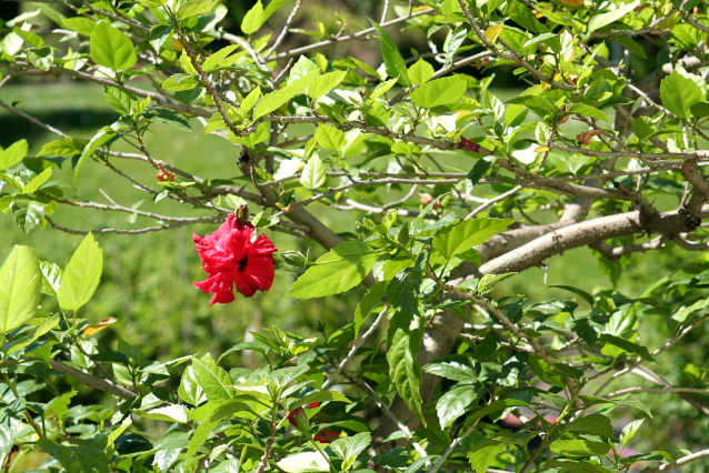 Botanická zahrada Malešice se rozkládá v údolí dutých hlav