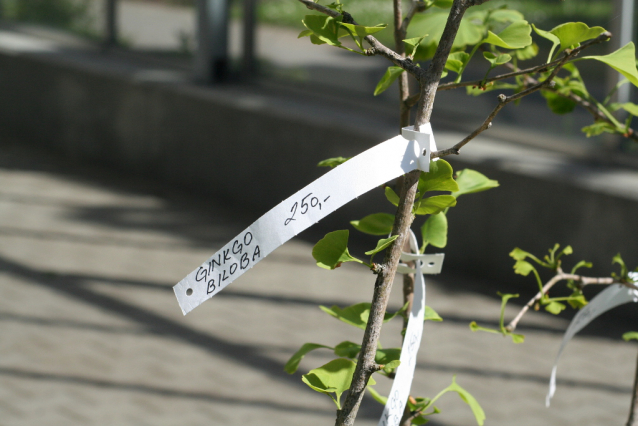 Botanická zahrada Malešice se rozkládá v údolí dutých hlav