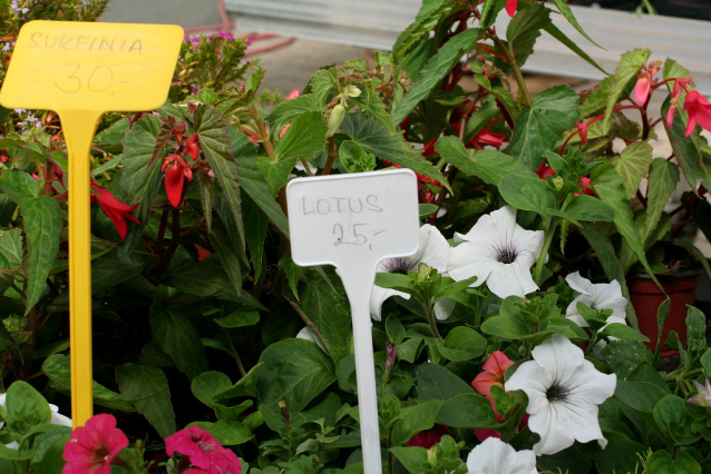 Botanická zahrada Malešice se rozkládá v údolí dutých hlav