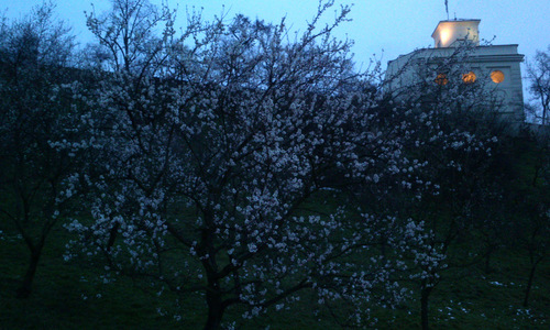 Výstava: Podzemní Praha Výstava: Podzemní Praha