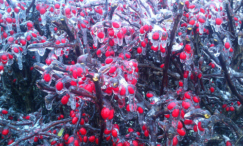 První sníh v Praze 2014 První sníh v Praze 2014