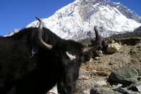 The best thing to do in Nepal The best thing to do in Nepal