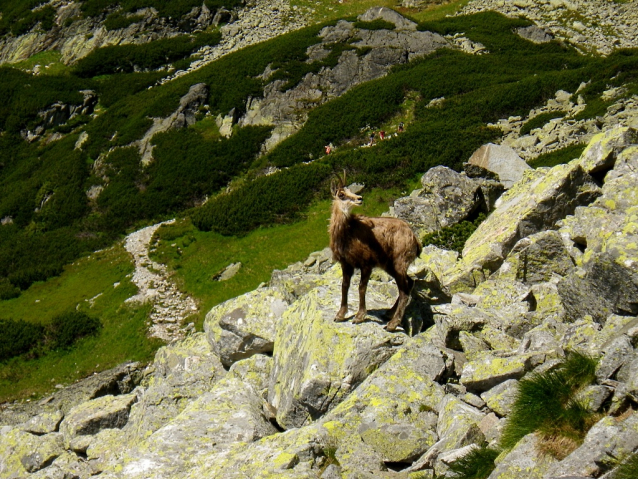 Cez knihu, populární výstup nad Brnčalkou