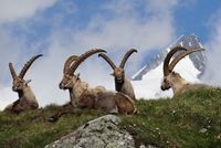 Národní park Vysoké Taury Národní park Vysoké Taury