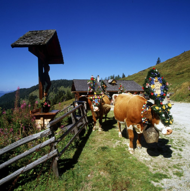 Salcburská salašnická cesta / Salzburger Almenweg