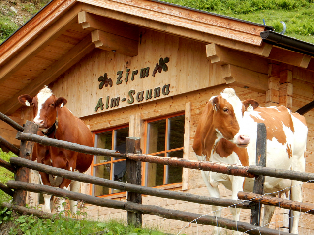 Sauerkäse auf den Almen im Grossarltal