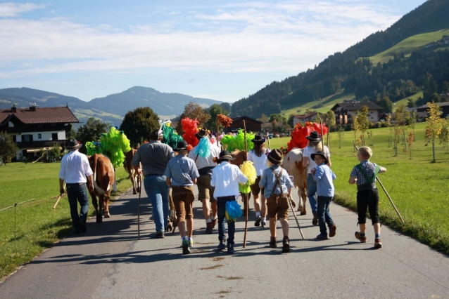 Almabtrieb - shánění krav z Kitzbühelských Alp