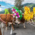 Almabtrieb - shánění krav z Kitzbühelských Alp