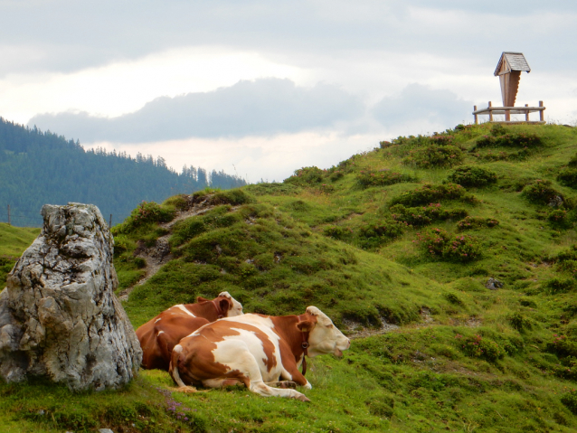 Salcburská salašnická cesta / Salzburger Almenweg