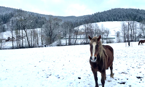Skialpinisté se vrátili na sjezdovku Razula Skialpinisté se vrátili na sjezdovku Razula