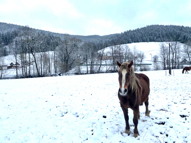 Skialpinisté se vrátili na sjezdovku Razula