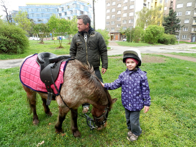 Poníci v pražském parku Balabenka