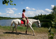 Koně pro radost i zdraví