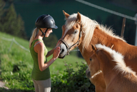 Blond hříva haflingova učarovala Babišovi
