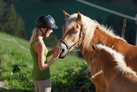 Blond hříva haflingova učarovala Babišovi Blond hříva haflingova učarovala Babišovi