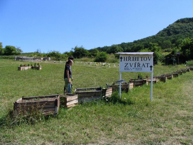 Dovča ve Středohoří