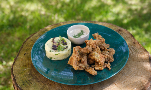 Rybník Svět v Třeboni Rybník Svět v Třeboni