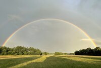 Bezdrev, druhý největší rybník v Česku Bezdrev, druhý největší rybník v Česku