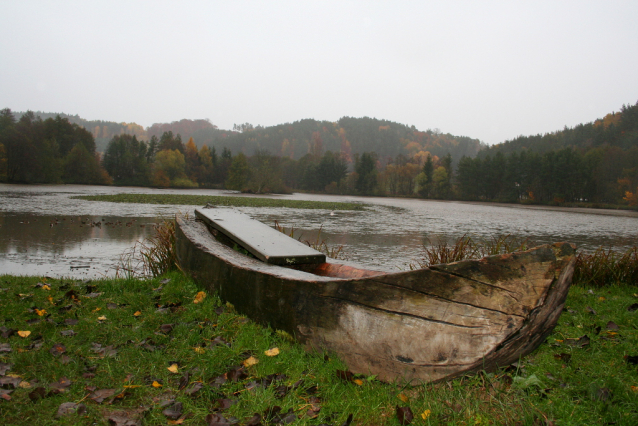 Carp Fishing from Czech Ponds for Christmas