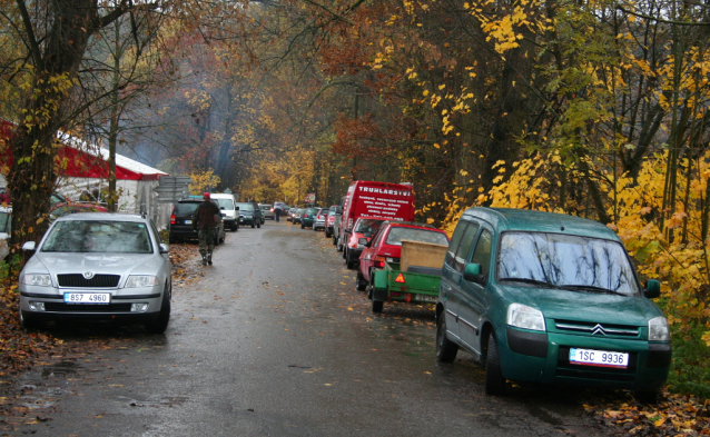 Carp Fishing from Czech Ponds for Christmas