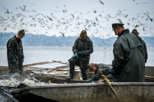 Rybník Rožmberk, největší v Čechách a nejspíš i na světě