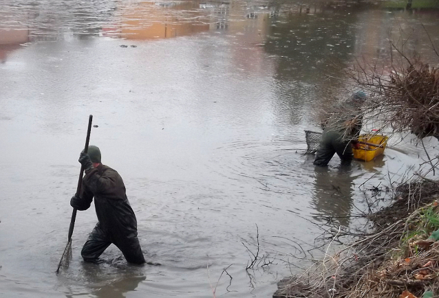 Výlovy rybníků 2019 říjen - 2. část