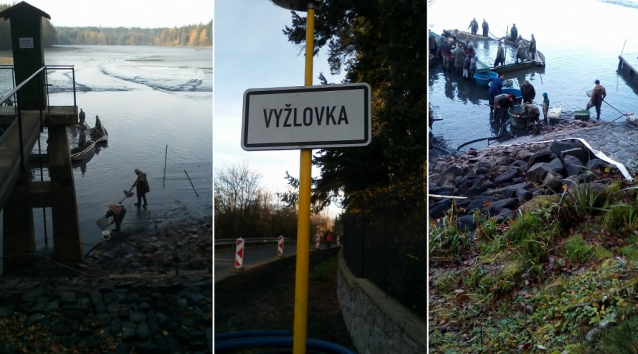 Výlov rybníka Vyžlovák na Jevanském potoce