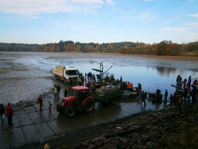 Výlovy rybníků 2013