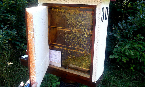 VIDEO: Průhledný včelí úl