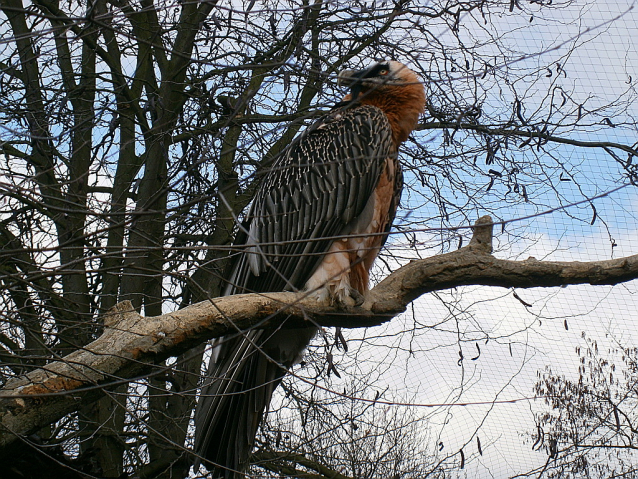 Happy Monday v ZOO Praha