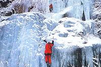 Milý Kubo  Milý Kubo