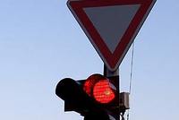 Žlábek nesmí vykácet Šumavu  Žlábek nesmí vykácet Šumavu