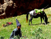Koňský příběh z afghánských soutěsek