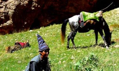 Koňský příběh z afghánských soutěsek