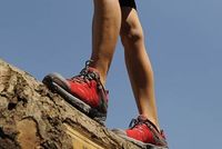 Válka jarních veletrhů  Válka jarních veletrhů