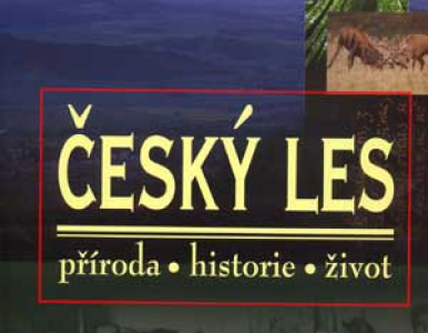 Český les