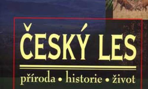 Český les Český les
