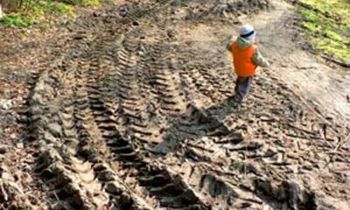 Lesáci jsou ničitelé přírody Lesáci jsou ničitelé přírody