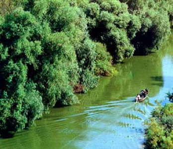 Dunajská delta koncem léta